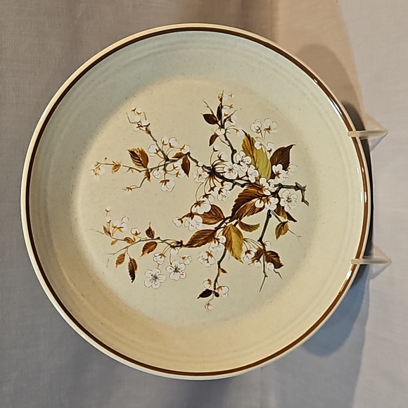 NEW Royal Doulton Wild Cherry 1038 Salad Plate Lambethware - Picture 1 of 5